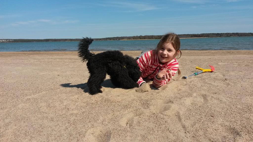Groena Uddens Camping Mariehamn Kültér fotó